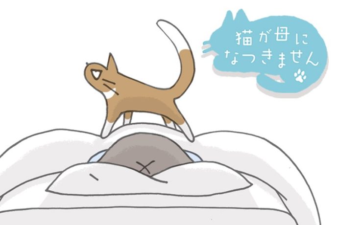 猫が母になつきません　第489話「きしょうする」