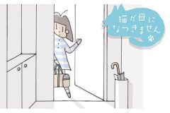 猫が母になつきません　第494話「さとがえり（1）」