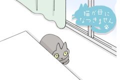 猫が母になつきません　第495話「さとがえり（2）」