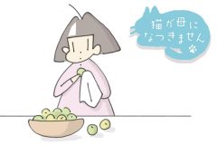 猫が母になつきません　第497話「2年め」