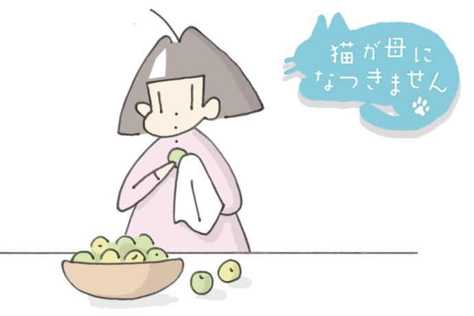 猫が母になつきません　第497話「2年め」