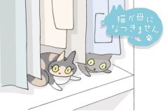 猫が母になつきません　第496話「さとがえり（3）」