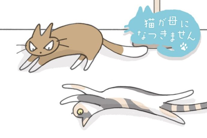 猫が母になつきません　第499話「2ひき」