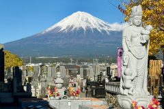 「墓じまいに100万円かかる？」子供がいない、実家の墓を継ぐ人がいない…専門家が教える賢い整理術と「樹木葬」の選択肢