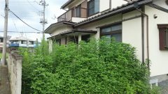 親の暮らしを守るために、家族ができる防犯対策