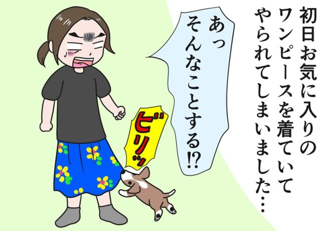 倉田真由美さん「子犬がいる暮らし」くらたまね～＆らいふVol.32